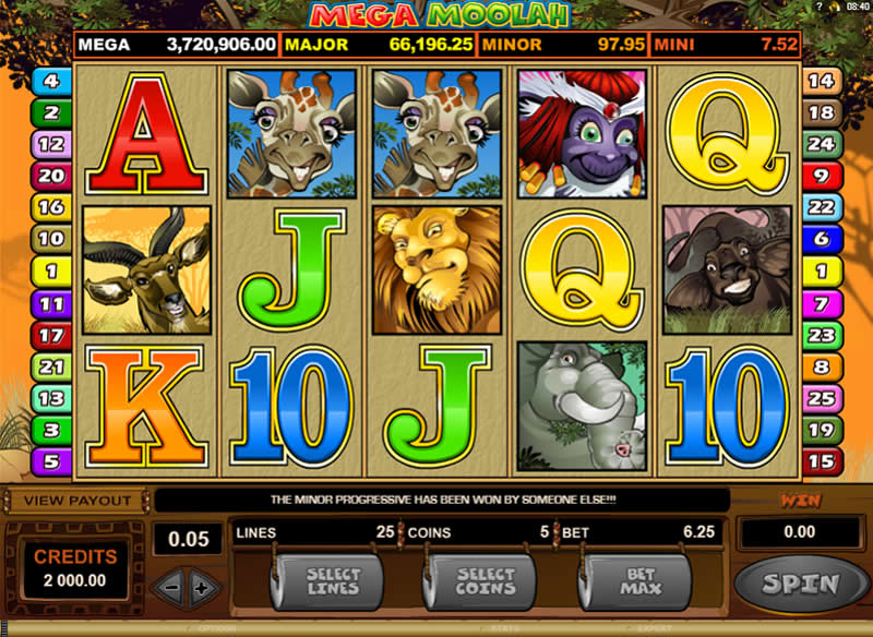 The Mega Moolah slot, a 25-payline progressive slot running on the Microgaming software platform