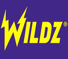 Wildz.com has Interac method payment method for players who use it